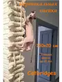 Вертикальная Змейка 150х20х3,2 см. С креплениями. Catbridges Настенный мост для кошек. Когтеточка. Лежанка.