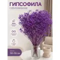 Гипсофилы букет гипсофила стабилизированная сухоцветы