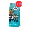 Кофе молотый Poetti Soul of Havana 200 г, набор из 4 шт