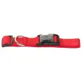 Для ежедневного использования ошейник HUNTER Ecco Sport Vario Basic XS, длина ошейника 34 см, обхват шеи 22-34 см, 1 шт., красный, XS