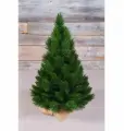 Ель настольная в мешочке Триумф Норд зеленая, 60 см (73073) леска+ПВХ