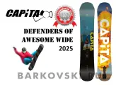 Сноуборд CAPITA DEFENDERS OF AWESOME WIDE 2025, кэмбер, 163W см