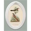 Картина в овальной деревянной раме с лепниной Птички