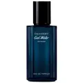 Davidoff парфюмерная вода Cool Water Intense for Him, 40 мл, 400 г