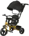 Велосипед трехколесный Pilot PT1, с ручкой управления, пластиковые колеса 10 и 8, черно-золотой, PT1GB