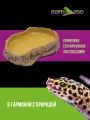 Кормушка для рептилий террариумная из полиэфирной смолы, от бренда Repti-Zoo 14*10.5*3 см