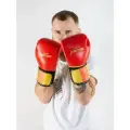 Перчатки боксерские тренировочные Infinite Force Red Desert (12 oz)