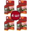 Мурацид 10 мл средство от муравьев (флакон), 4 шт