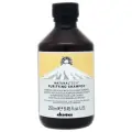 Davines NT Purifying Профессиональный очищающий шампунь для волос против перхоти, Италия