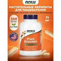 NOW Plant Enzymes, Комплекс растительных ферментов для пищеварения, 240 растительных капсул, Папаин + Бромелайн способствуют расщеплению пищи, лактаза для поддержки переваривания молочных продуктов