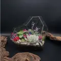 Флорариум с суккулентами от Flolefor Сердце, 17х17х13 см (ДхШхВ)