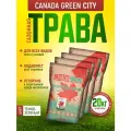 Газонная трава Канада Грин Низкорослая Карлито 20 кг / Canada Green Karlito / семена газона мятлик, овсяница