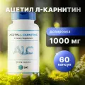 Ацетил Л Карнитин, для похудения, жиросжигатель Acetyl L-Carnitine 500 мг SNT, снт 60 капсул