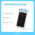 Черные ресницы Lash&Go микс 0,10/L/7-14 mm new (16 линий)