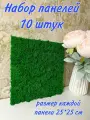 Набор панелей со стабилизированным мхом 10 штук