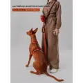 Шлейка для собак прогулочная анатомическая, CORADOG Quick click, размер L, цвет терракотовый, коричневый