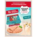 Корм для стерилизованных кошек влажный ZILLII (ламистер) Воздушный паштет 15шт х 100гр, Лосось