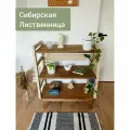 Стеллаж деревянный, из массива Лиственницы для книг, игрушек, кухни, ванной, гостиной- 95х40х80 цвет белый, орех