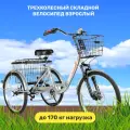 Трехколесный велосипед для взрослых РВЗ Чемпион (СКЛАДНОЙ), 24, серебро