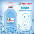 Вода питьевая Черноголовка негазированная, ПЭТ, 2 шт. по 5 л