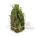 Кора декоративная со мхом (27 см*17см) №9165-5