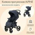 Коляска прогулочная Rant Basic Alpine, цвет graphite 9825947 .
