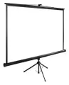 Cactus CS-PSTE-200X150-BK Экран 150x200см TriExpert CS-PSTE-200x150-BK 4:3 напольный рулонный черный