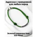 Украшение. Тихий адресник с гравировкой. Жетон 50мм на шнурке 4мм. Зеленый S