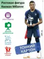 Килиан Мбаппе вид 1 Ростовая фигура, Тонкий картон, (Print100.ru)