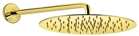 Верхний душ Webert AC0841010, золото