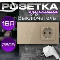 Одноклавишный сенсорный выключатель Livolo с розеткой золотой