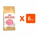 ROYAL CANIN SPHYNX KITTEN для котят сфинксов (2 кг х 6 шт)