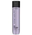Шампунь для нейTotal Resultsализации желтизны Total Results Color Obsessed So Silver 300 мл