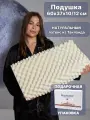 Подушка из натурального латекса RoyalLatex 60x37x10/12см R03