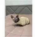 Флисовый жилет для кошек, бежево-коричневый, XL