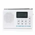 Портативный Цифровой Радиоприемник HanRongDa HRD-1036, FM, от Батареек