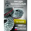 Гвоздь кровельный 3,1/22 мм с кольцевой накаткой RiCnk, 3000 шт