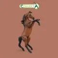 Фигурка животного Collecta, Лошадь Арабский гнедой жеребец
