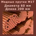Медный пруток (медный круг). Марки М1T. Диаметр 60 мм. Длина 200 мм.