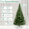 Ель кремлёвская 230 см