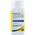 Таблетки Zoetis Римадил Р, карпрофен 100 мг,  20 шт. в полимерном флаконе