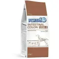 FORZA10 DOG INTESTINAL COLON FASE 2 ACTIVE для взрослых собак всех пород для профилактики колитов и заболеваний желудочно-кишечного тракта (10 кг)
