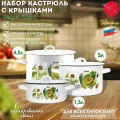 Набор кастрюль «Vegan food», набор посуды, набор кастрюль с крышками