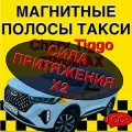 Магнитные полосы для Chery Tiggo 7 Pro MAX усиленный