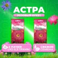 Семена Астра Букет розовый, 0,3г, Гавриш, Розовые сны(2 упаковки)