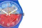 Наручные часы SWATCH VERRE-TOI GN275