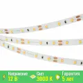 Светодиодная лента Arlight RT-A60-8mm 12V Warm3000 CRI98 (4.8 W/m, IP20, 2835, 5m) (, -)