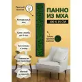 Панно из стабилизированного мха 100*15 см, большая настенная картина для интерьера, для дома и комнаты
