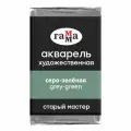 ГАММА Акварель художественная Старый мастер, кювета., 6 шт., серо-зеленый