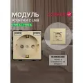 Розетка CORKER с двумя USB с заземлением и защитными шторками, без рамки / золотая